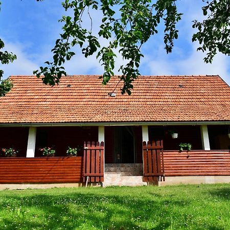 House Luna Rakovica Εξωτερικό φωτογραφία