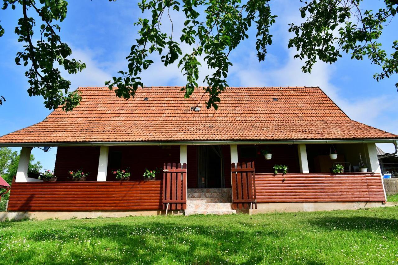 House Luna Rakovica Εξωτερικό φωτογραφία