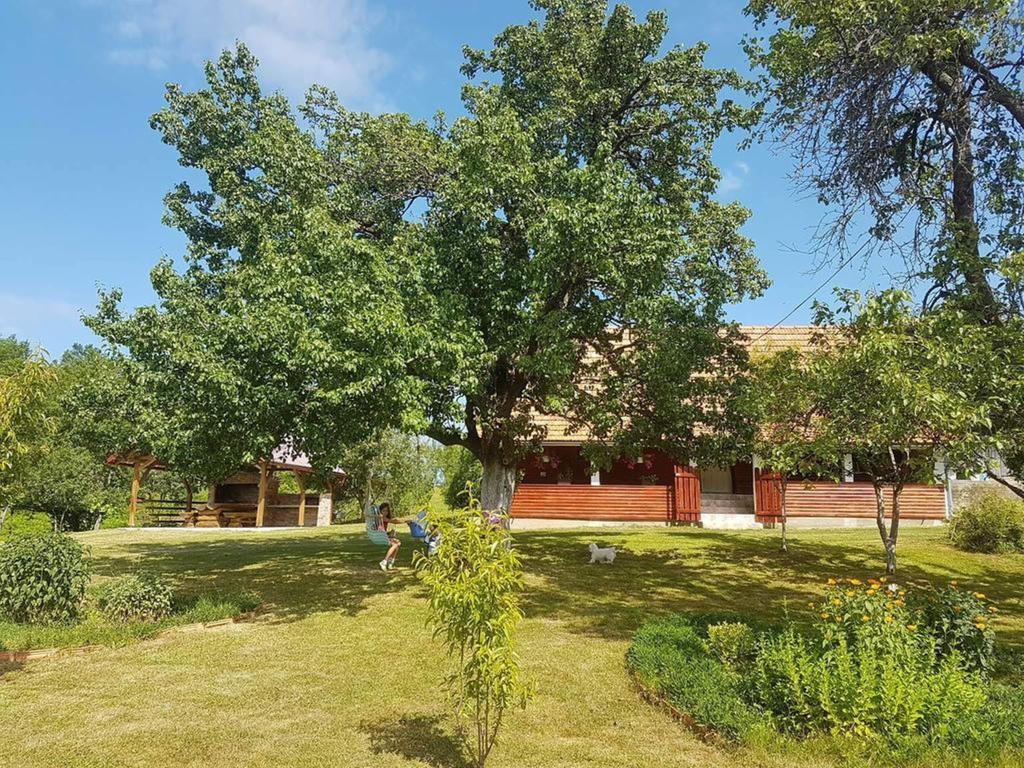 House Luna Rakovica Εξωτερικό φωτογραφία